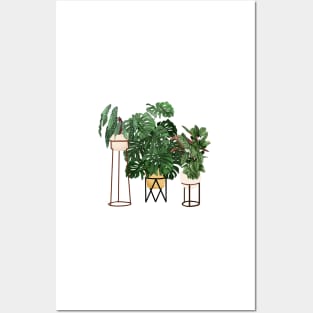 House Plants Illustration 28 Posters and Art